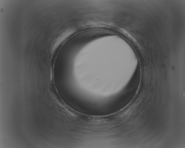 X0000062601269200601110933