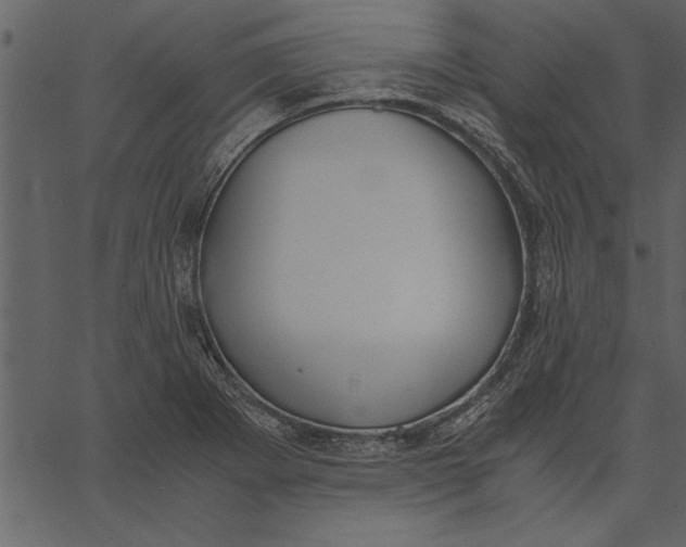 X0000062601273200601110933