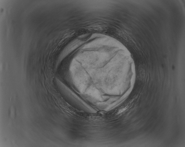 X0000062601297200601110932