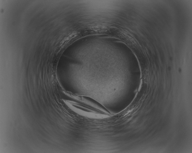 X0000062601298200601110932