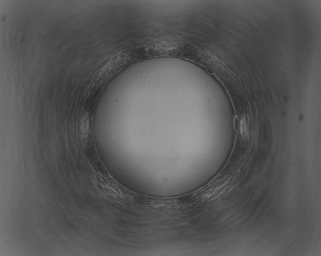 X0000062601299200601110932