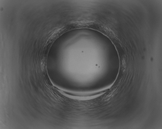 X0000062601300200601110932