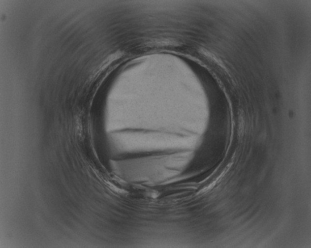 X0000062601305200601110932