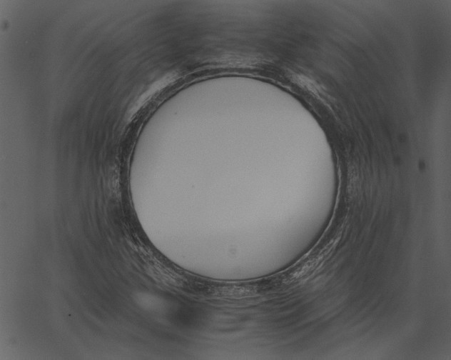 X0000062601307200601110932