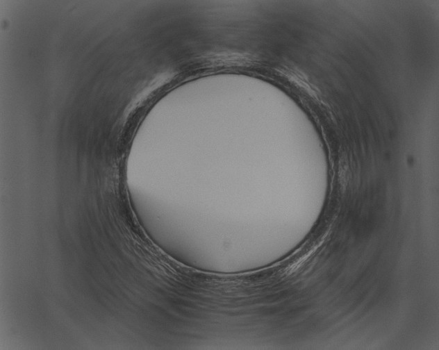 X0000062601309200601110932