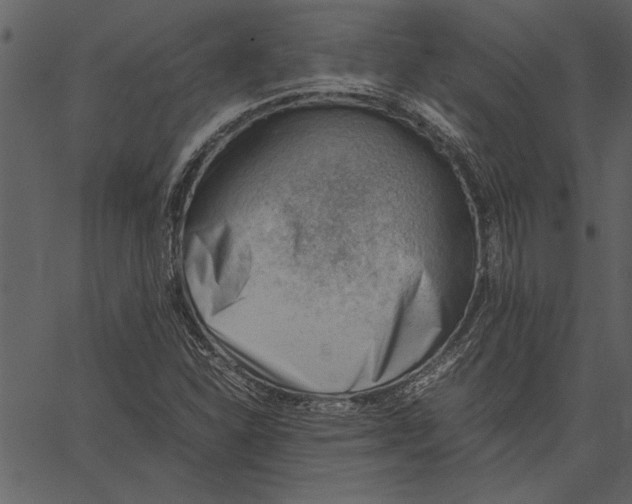 X0000062601310200601110932