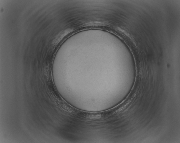 X0000062601313200601110932