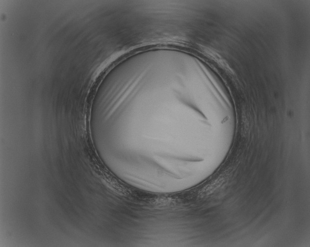 X0000062601316200601110932