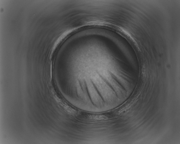 X0000062601323200601110932