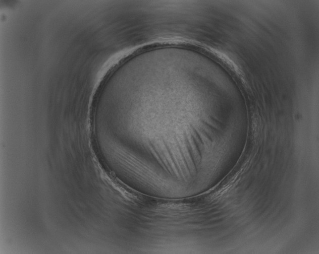 X0000062601327200601110932