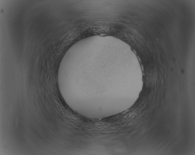 X0000062601345200601110932