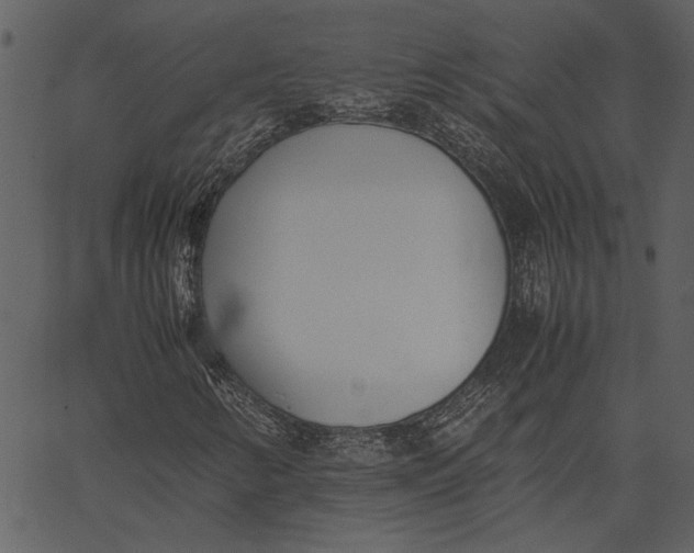 X0000062601346200601110932