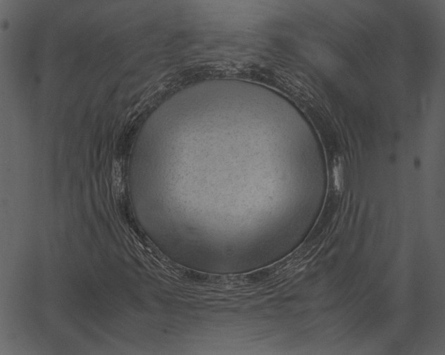 X0000062601347200601110932