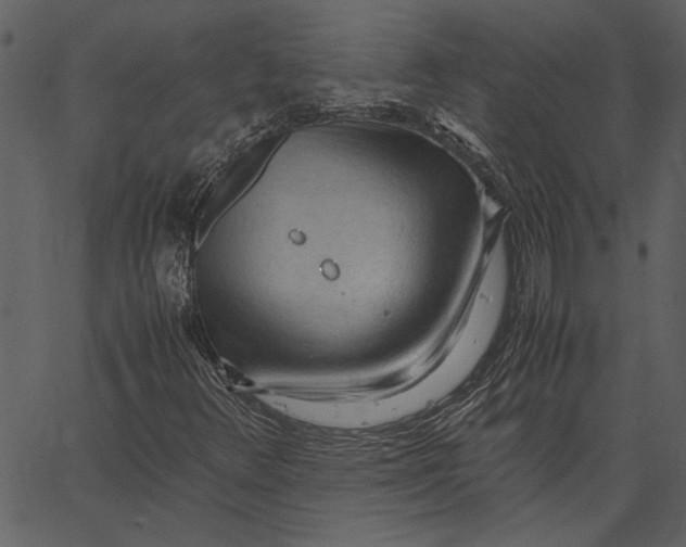 X0000062601348200601110932