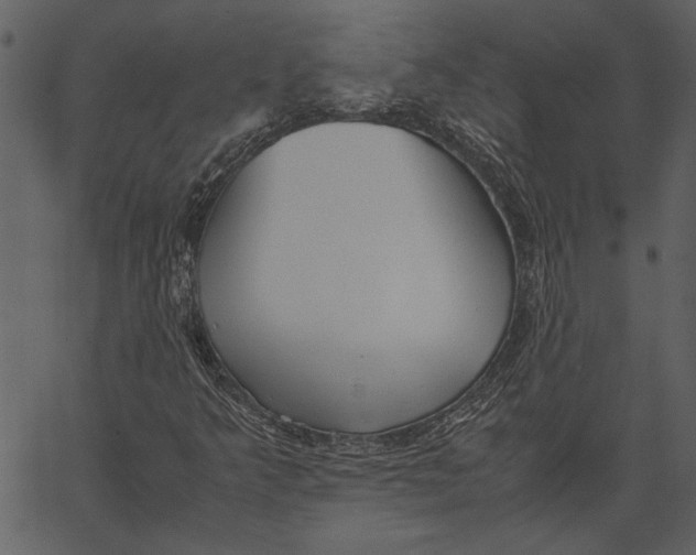 X0000062601349200601110932