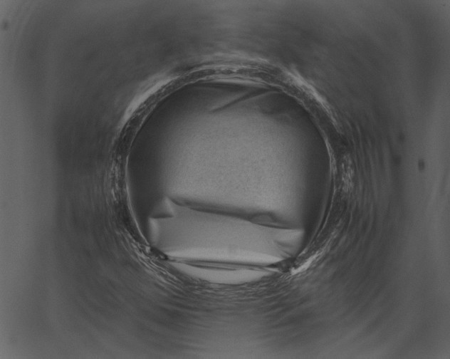 X0000062601352200601110932