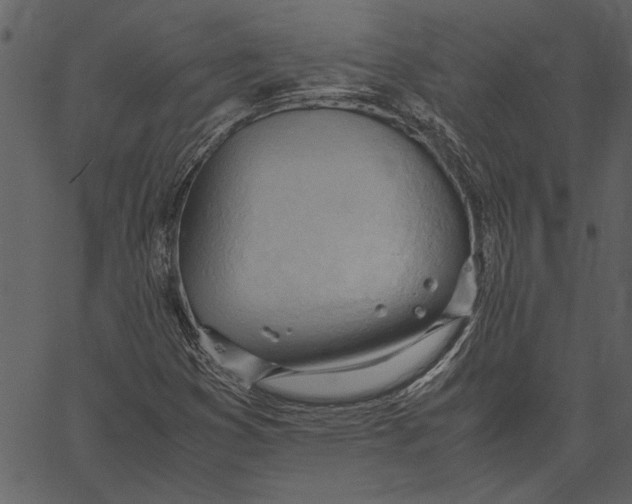 X0000062601353200601110932