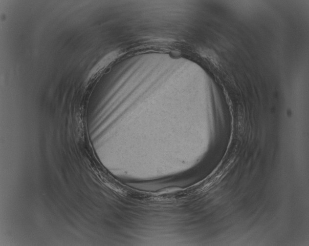X0000062601354200601110932