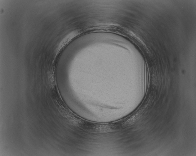 X0000062601362200601110932