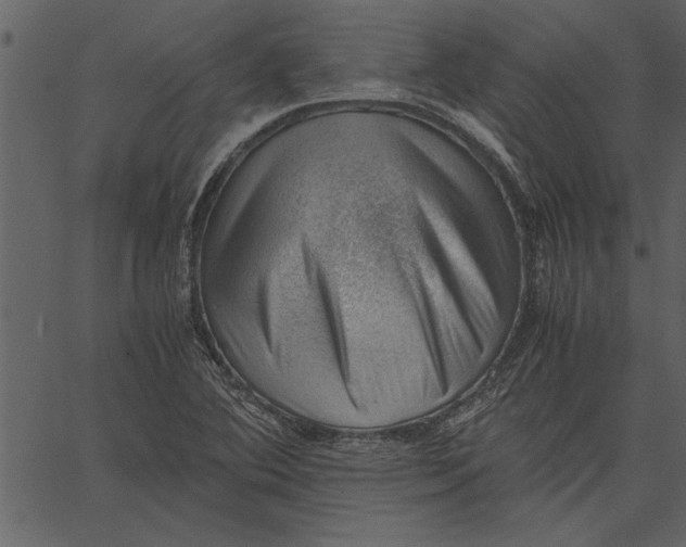 X0000062601364200601110932