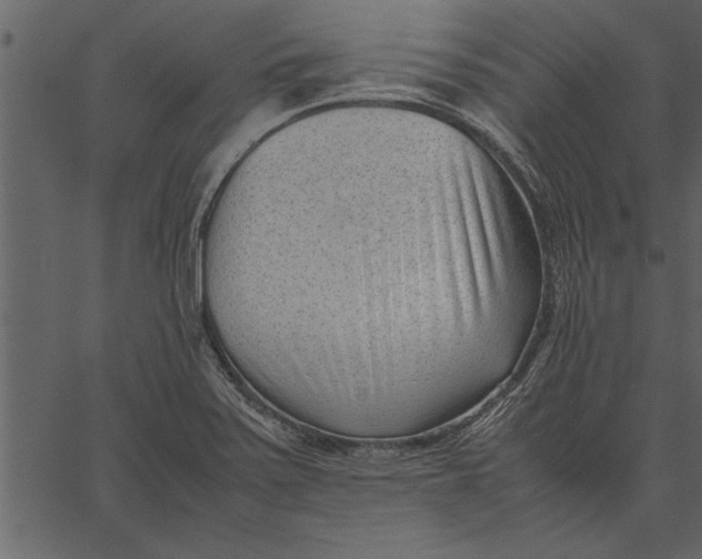X0000062601371200601110931