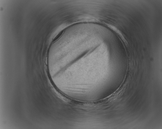 X0000062601383200601110931