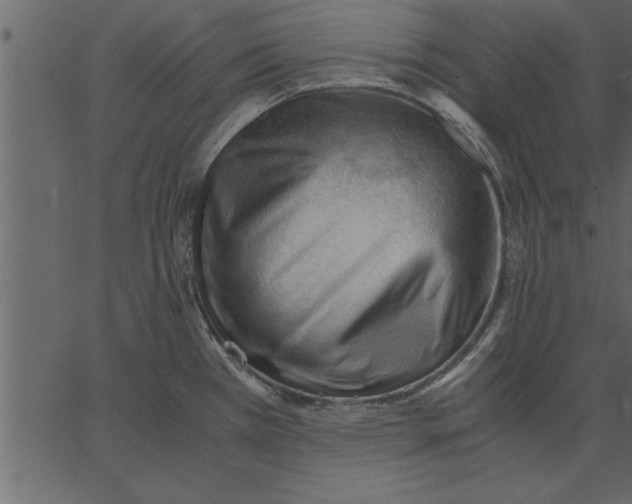 X0000062601385200601110931