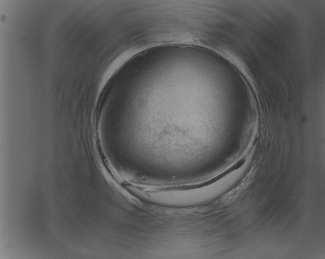 X0000062601389200601110931