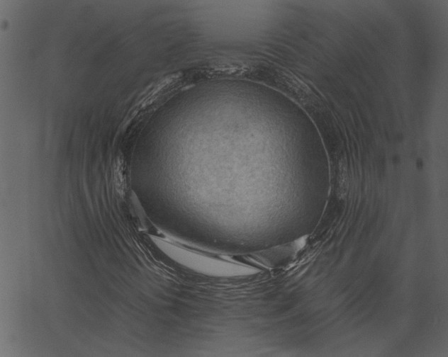 X0000062601394200601110930