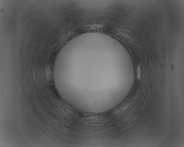 X0000062601395200601110930