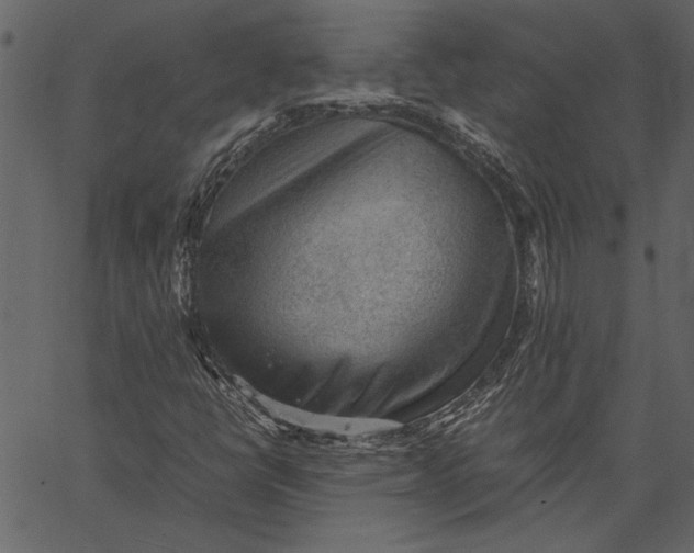 X0000062601398200601110930