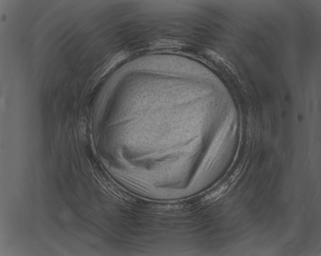 X0000062601401200601110930