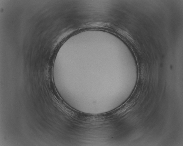 X0000062601404200601110930