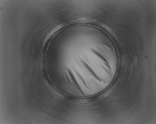 X0000062601410200601110931