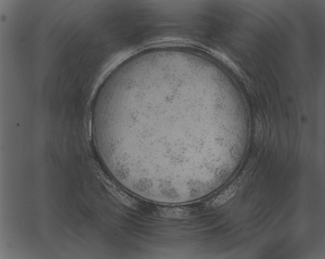 X0000062601413200601110931