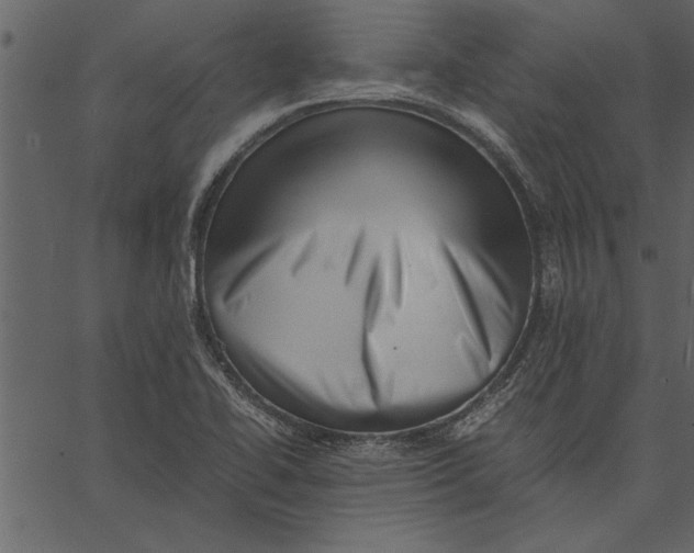 X0000062601414200601110931