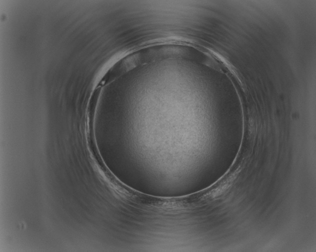X0000062601418200601110931