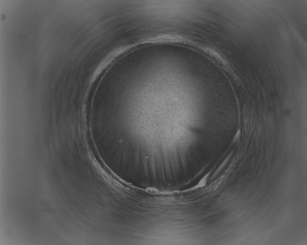 X0000062601422200601110931
