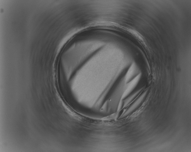 X0000062601430200601110931