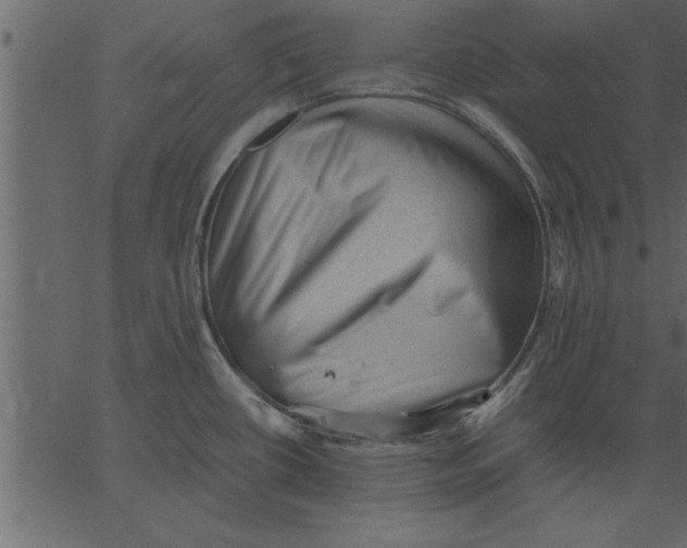 X0000062601434200601110931