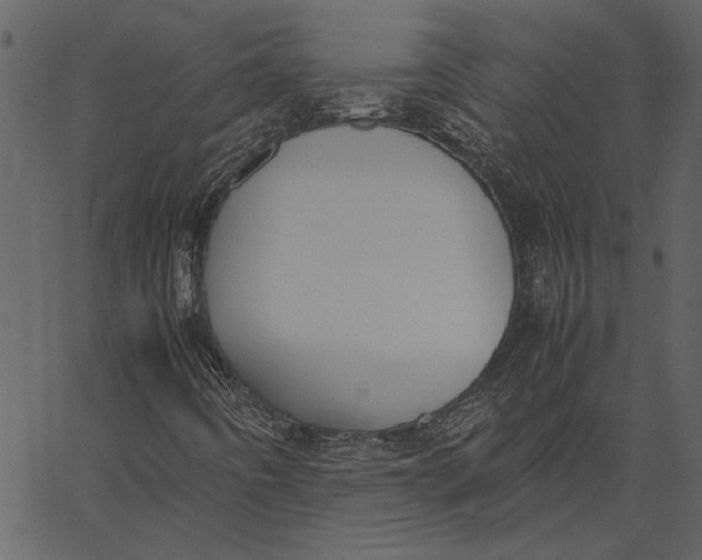 X0000062601442200601110930