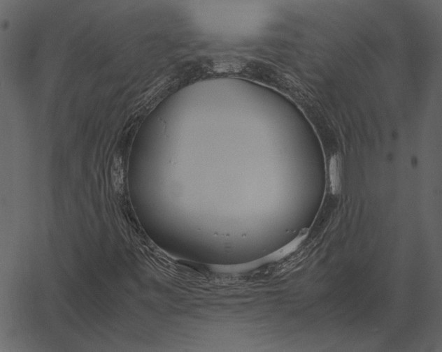 X0000062601443200601110930