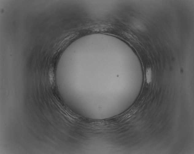 X0000062601444200601110930