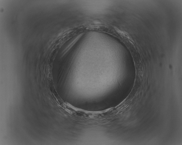 X0000062601445200601110930