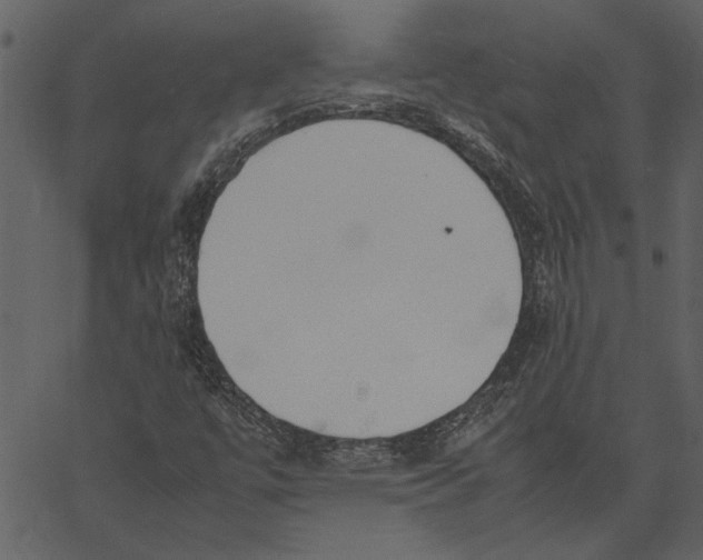 X0000062601447200601110930