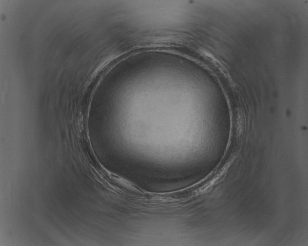 X0000062601449200601110930