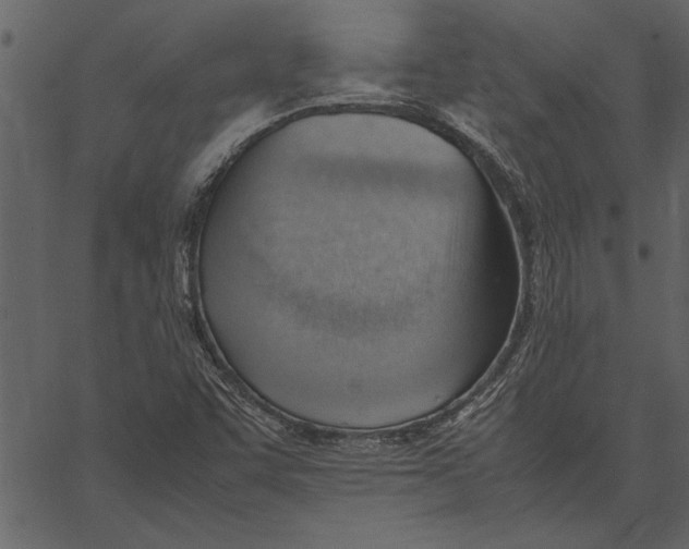X0000062601455200601110930