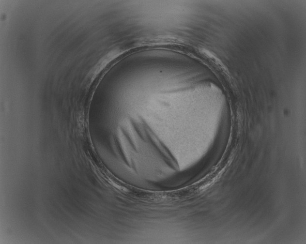 X0000062601457200601110930