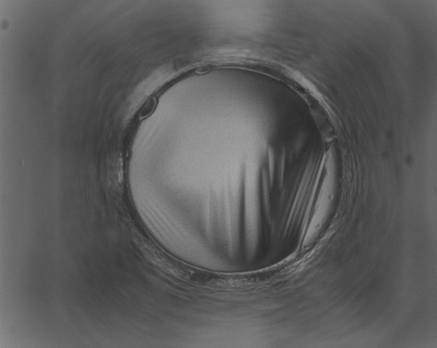 X0000062601461200601110930