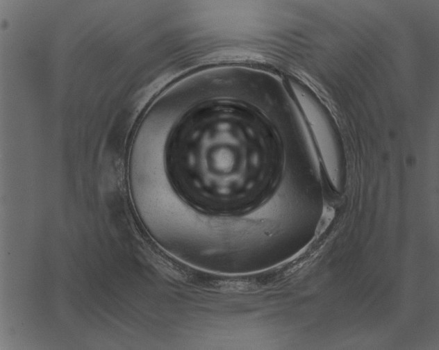 X0000062601465200601110930